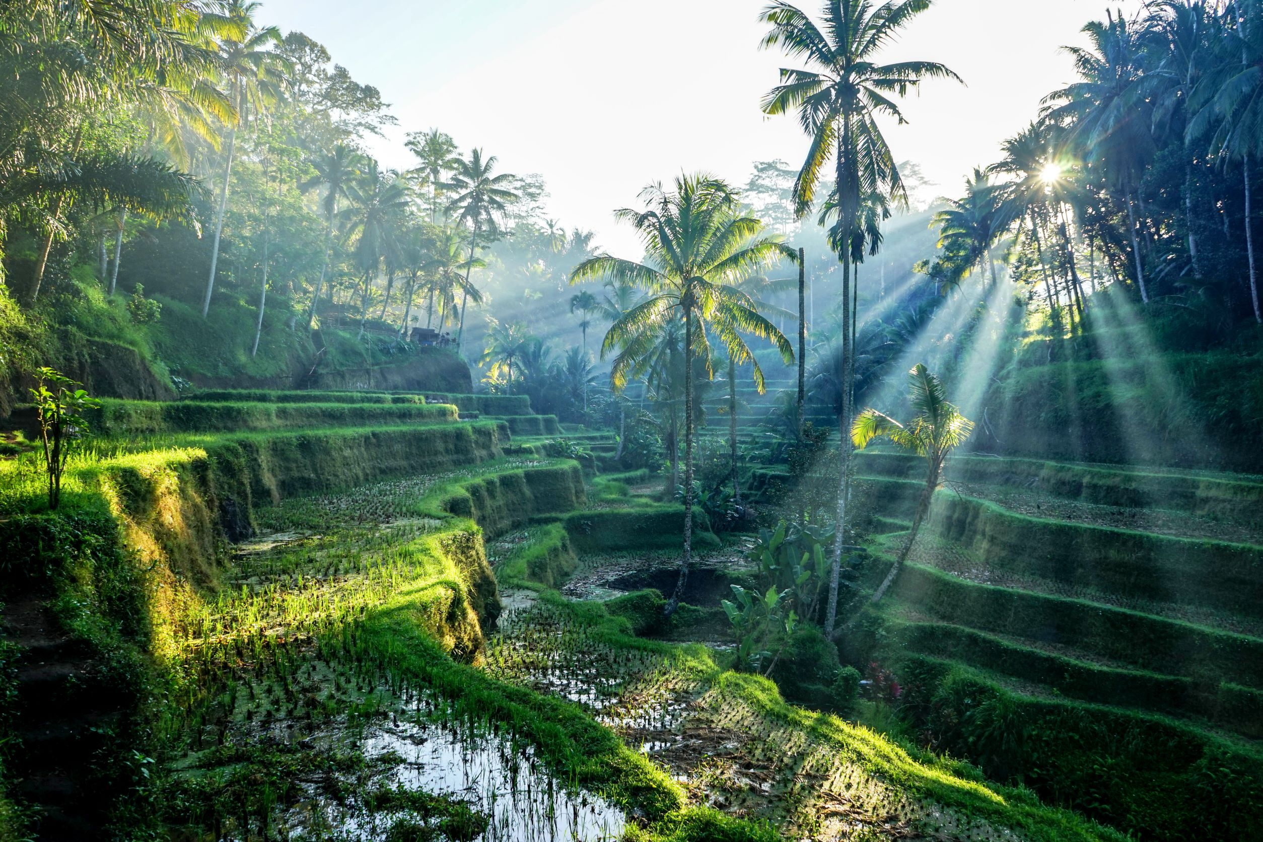 11 Must-Visit Hidden Gem Tours in Bali